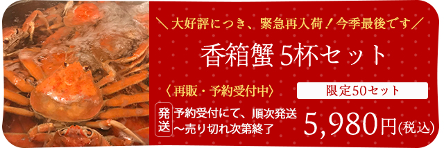 大好評 再販 香箱蟹5杯セット